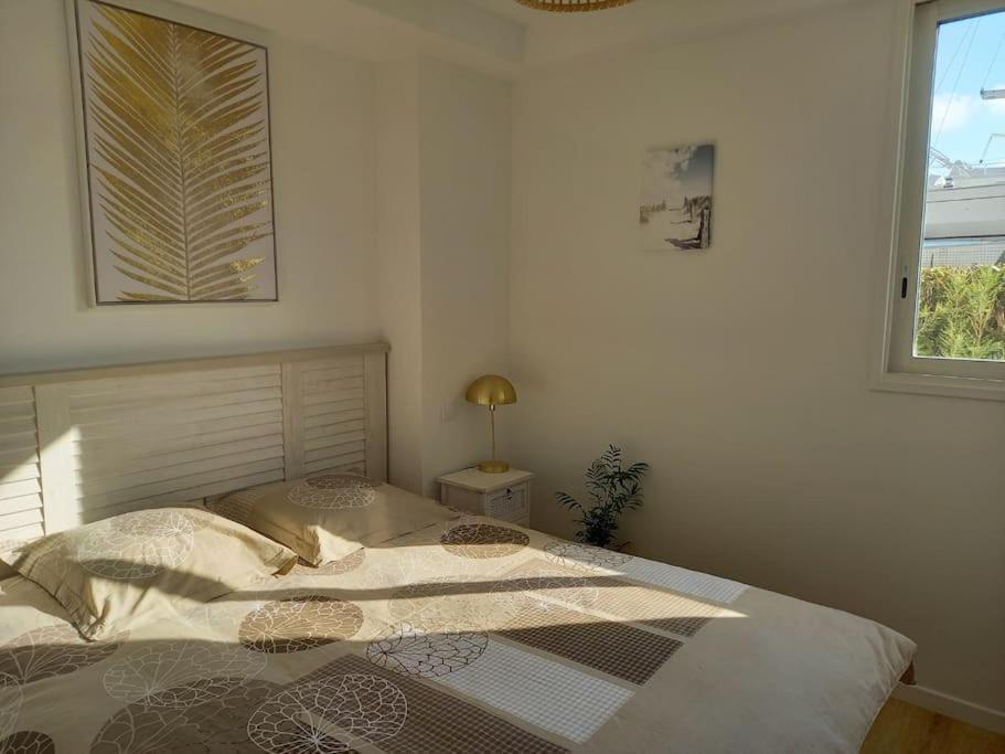 Appartement 100 M2 Terrasse Piscine Gruissan Exteriör bild
